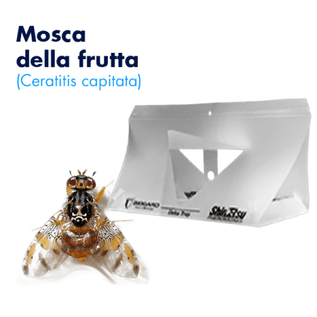 Biogard Delta Trap Foto prodotto