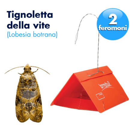 Trappola L.Botrana a 2 feromoni Foto prodotto