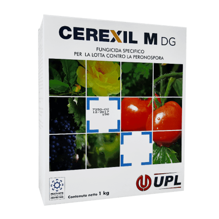 Cerexil M DG Foto prodotto