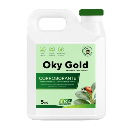 Oky Gold Foto prodotto