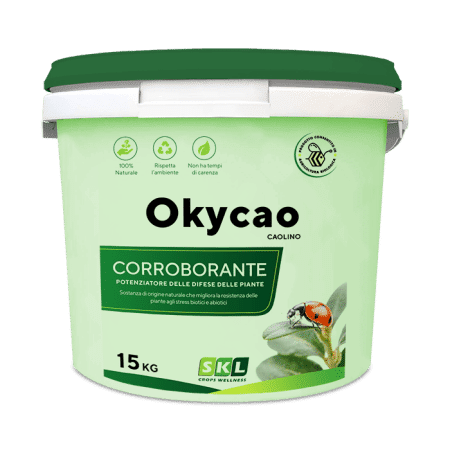 Okycao (2-3 µm) Foto prodotto
