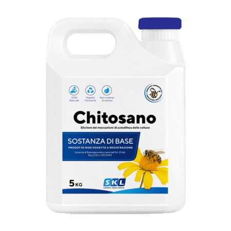 Chitosan Foto prodotto