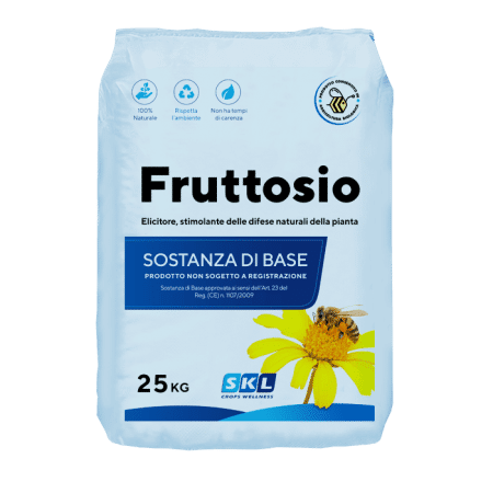Fruttosio Foto prodotto