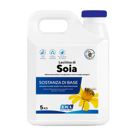 Soy Lecithin Foto prodotto