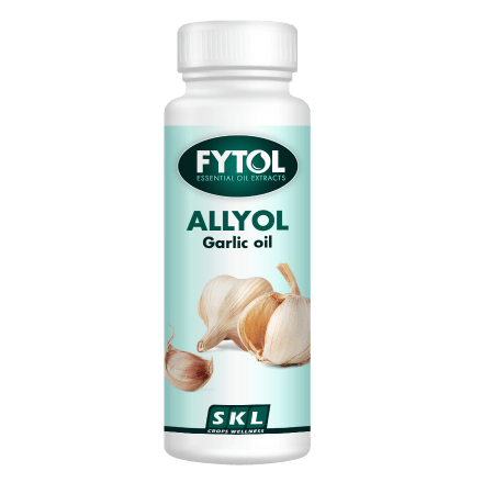 Allyol Foto prodotto