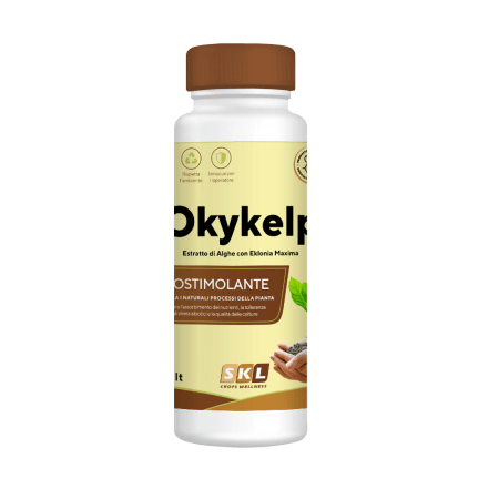 Okykelp Foto prodotto